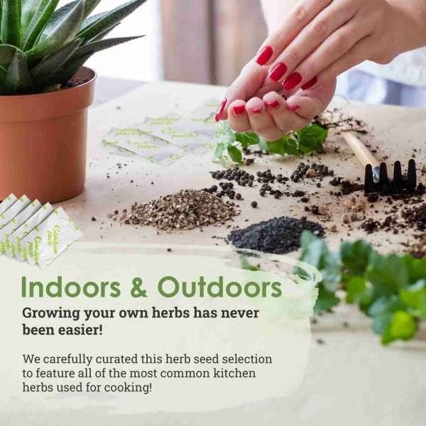 Grow Your Own Herbs Kit - Image 4
