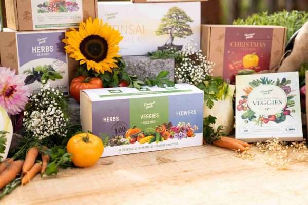 GAR2951 GardenPack 5 1 scaled <strong>What's included:</strong> <ul> <li>65 different vegetable plants, 15 types of herb plants and 20 varieties of flowers, you’ll receive over 45,000 seeds in total!</li> <li>Packaged in a deluxe wooden box;</li> <li>Gardening gloves and claws;</li> <li>Easy to follow growing guide;</li> </ul> <strong>OUR BEST VALUE GARDENING KIT</strong> to save money, reduce your carbon footprint & celebrate the natural powers of plants with your own vegetable plants & seeds.  