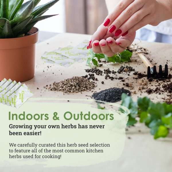 Grow Your Own Veggies - Image 4
