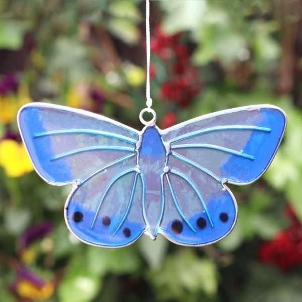 sun catcher CHALKHILL BLUE BUTTERFLY SUNCATCHER This lovely Chalkhill Blue Butterfly suncatcher provides a delightful way to decorate gardens, windows and conservatories. The suncatcher is made from resin and has a short string and loop for easy and convenient hanging.