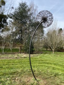 Tremendously Tall Dandelions - Galvanised Finish 1 IMG 5897 Tremendously tall dandelions will fit into almost any size garden from the very large to small courtyard