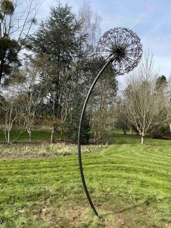 Giant Dandelion