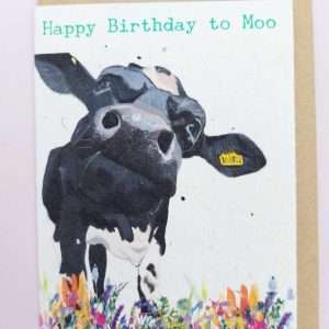 Plantable seed card with a close up illustration of a dairy cow. The card is A6 with a C6 envelope. The card is made of seed paper and will grow wildflowers if planted. Sentiment reads Happy Birthday to moo.