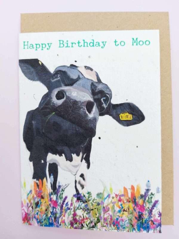 Plantable seed card with a close up illustration of a dairy cow. The card is A6 with a C6 envelope. The card is made of seed paper and will grow wildflowers if planted. Sentiment reads Happy Birthday to moo.