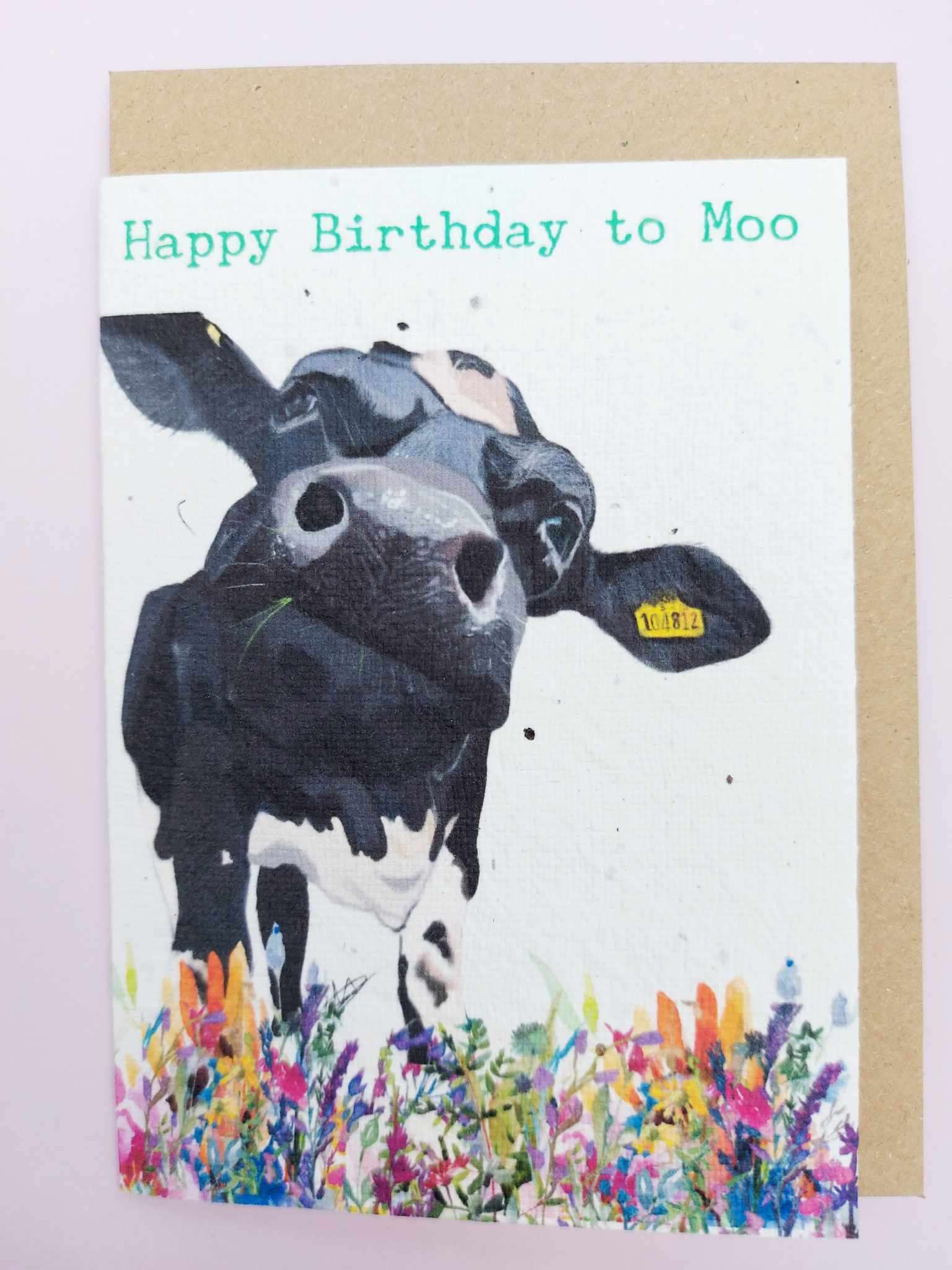 Plantable seed card with a close up illustration of a dairy cow. The card is A6 with a C6 envelope. The card is made of seed paper and will grow wildflowers if planted. Sentiment reads Happy Birthday to moo.