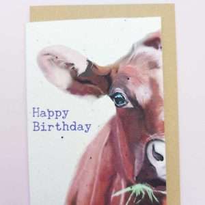 Plantable seed card featuring a cute Illustrated Jersey Cow eating grass with the sentiment Happy Birthday. Card is made of seed paper that will grow wildflowers when planted. card is A6 with a C6 envelope.