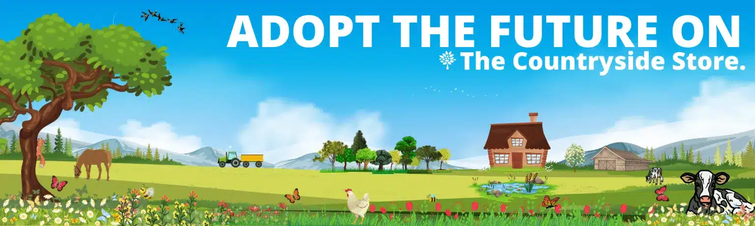Adopt the Future 21 85000 monthly views 1 1536x461 1