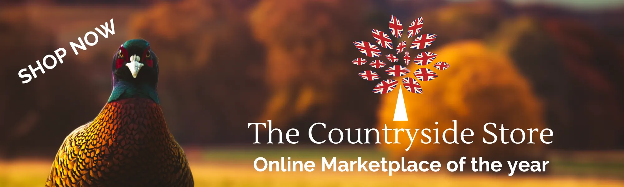 Home Page 37 Pheasant CSS Banner