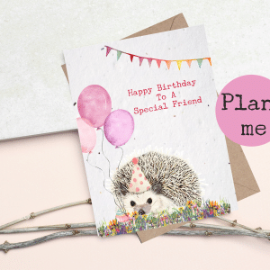 Plantable seed card Featuring a cute hedgehog holding balloons and a cake- Sentiment says Happy Birthday to a special friend- Plant the card to grow wildflowers. Eco friendly plantable birthday card on a white background in A6.