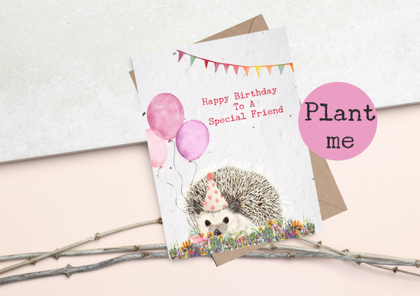 Plantable seed card Featuring a cute hedgehog holding balloons and a cake- Sentiment says Happy Birthday to a special friend- Plant the card to grow wildflowers. Eco friendly plantable birthday card on a white background in A6.
