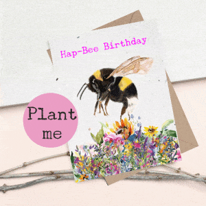 Plantable seed card featuring an illustrated bumble bee hovering over bright colourful flowers with the sentiment hap-bee birthday. The card is made of seed paper and is A6 in size with a C6 envelope.