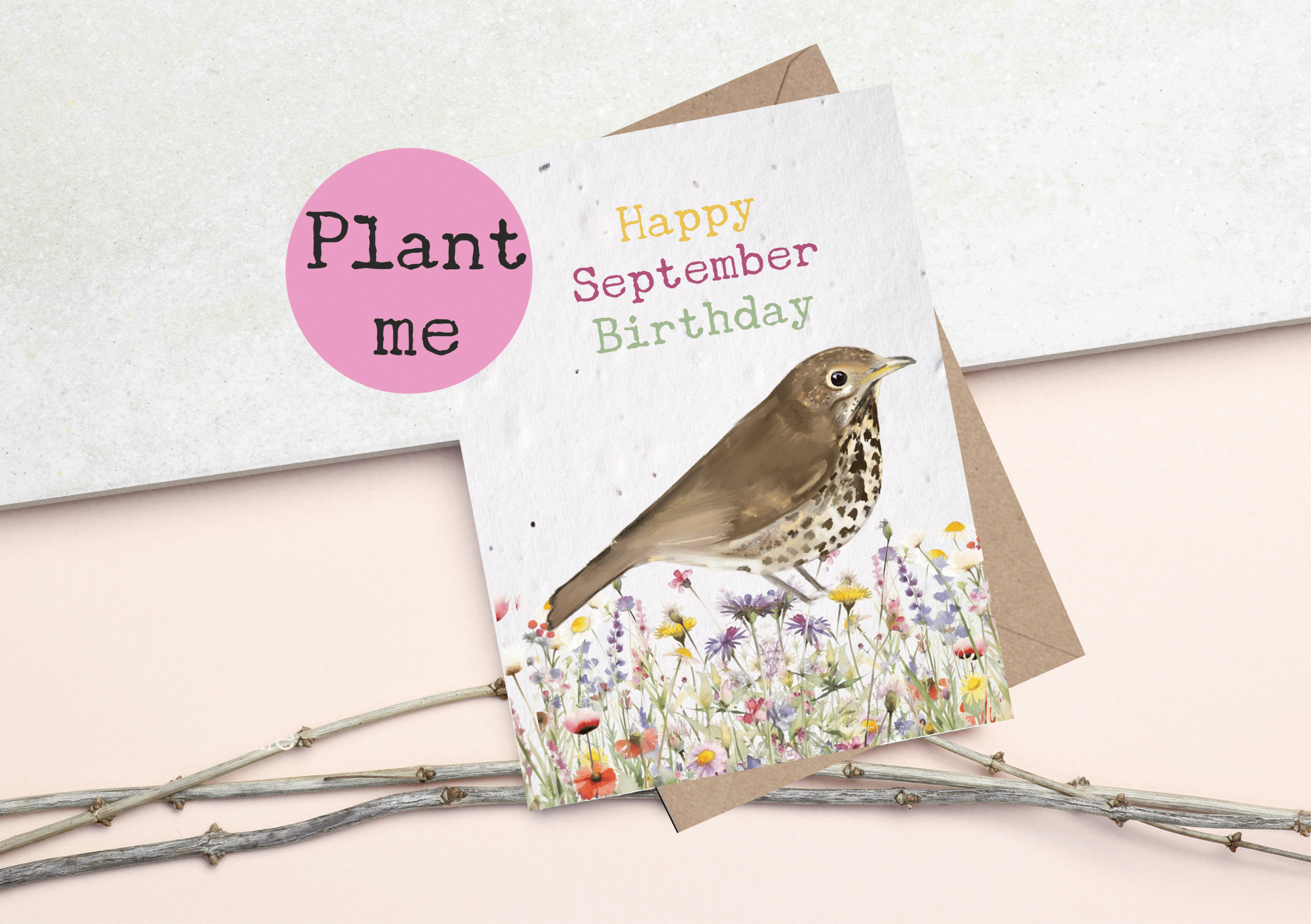 Plantable seed card featuring an illustration of a Song Thrush in wildflowers, sentiment reads Happy September Birthday. Card is made of seed paper and can be planted to grow wildflowers. Card is A6 in size with a C6 envelope.