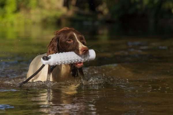 Sporting Saint Water Dummy - Image 3