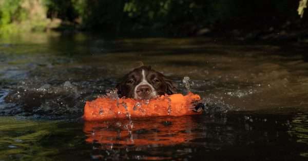Sporting Saint Water Dummy - Image 2