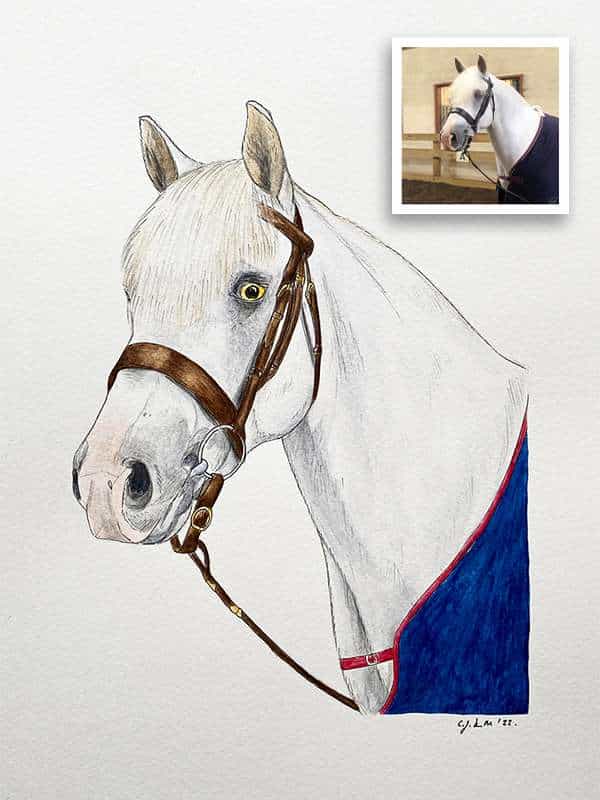 Horse portrait, drawn using fine liner, pencil and watercolours