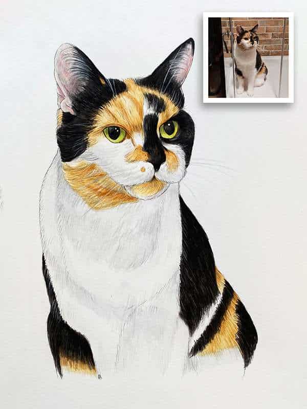 Cat portrait, drawn using fine liner, pencil and watercolours