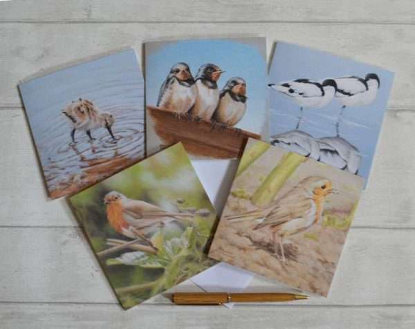 Pack of 5 Bird Designs square, blank, art cards. Viewed flat from above with a pen for scale. Avocet cards, Swallows and Robins