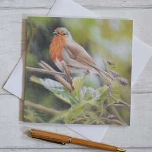 Robin blank greetings card with white envelope viewed flat