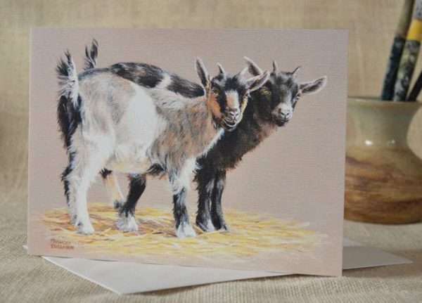 Pair Pygmy Goat Kids blank greetings card