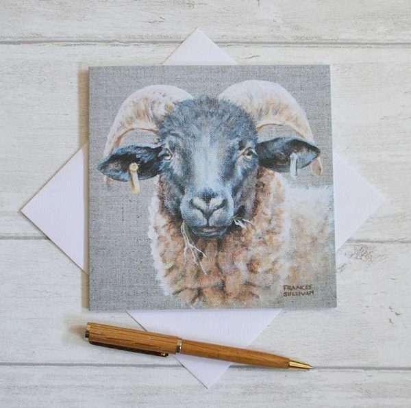 Norfolk Horn sheep head study on square blank greetings or birthday card on top of envelope with pen in foreground for scale. Viewed flat from above
