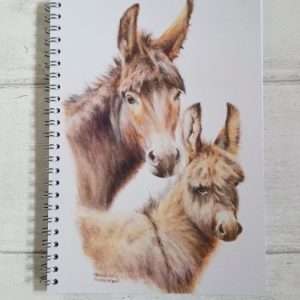 Donkey Jenny and Foal art A5 ring-bound notebook