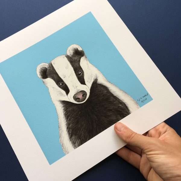 Badger Loose Thumb scaled 10" x 10" art print of my original watercolour, fine liner and pencil illustration of a badger on a colourful​ blue background.