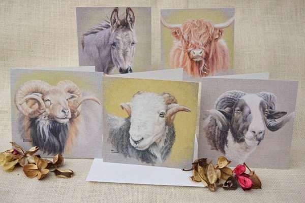 Pack of 5 farm animal blank cards, find donkey, 3 breeds of sheep and a highland cow