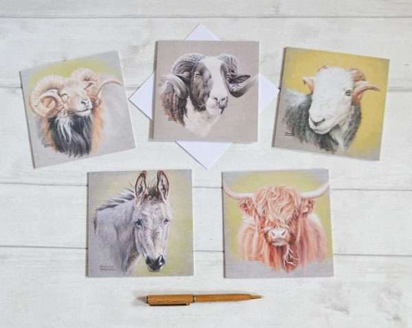 Pack of 5 square blank farm animal art cards. Find a donkey, highland cow, and Ronaldsay, Jacobs and Herdwick sheep.