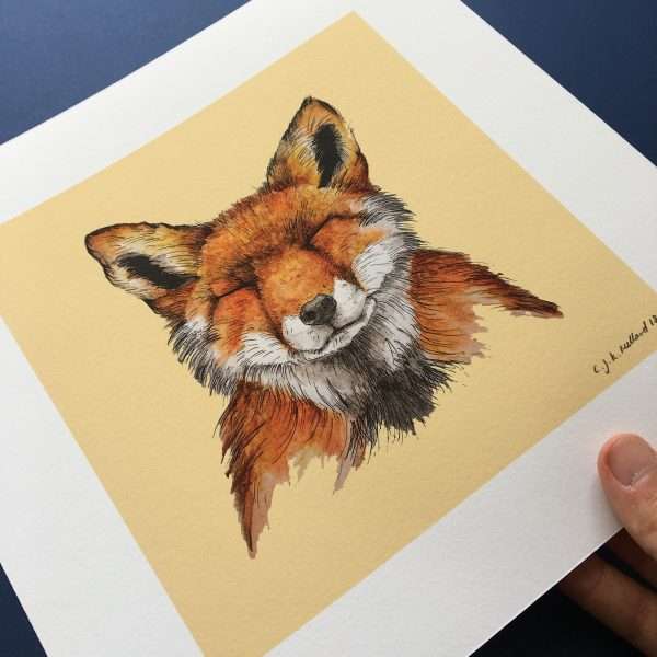 Fox Print Loose Thumb scaled 10" x 10" art print of my original watercolour, fine liner and pencil illustration of a fox on a cream background.
