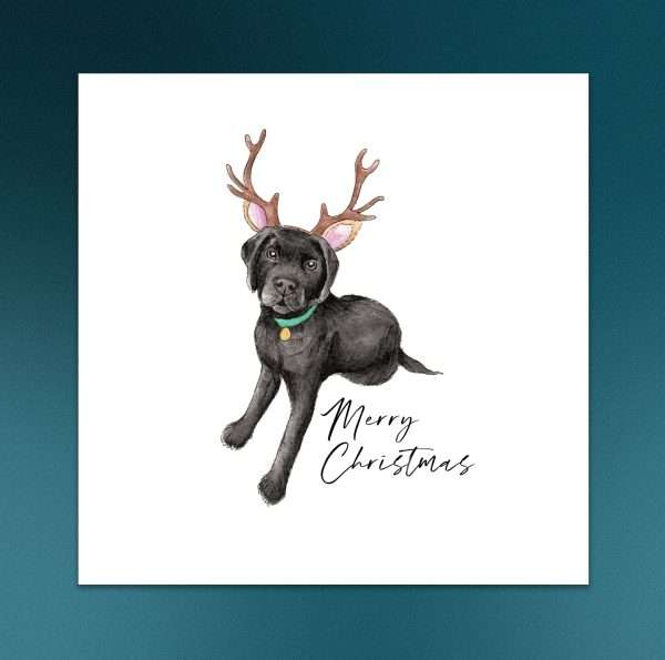 Black Labrador in reindeer antlers - illustrated Christmas card