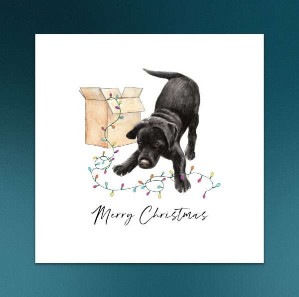 Black Labrador themed Christmas card - puppy playing with lights
