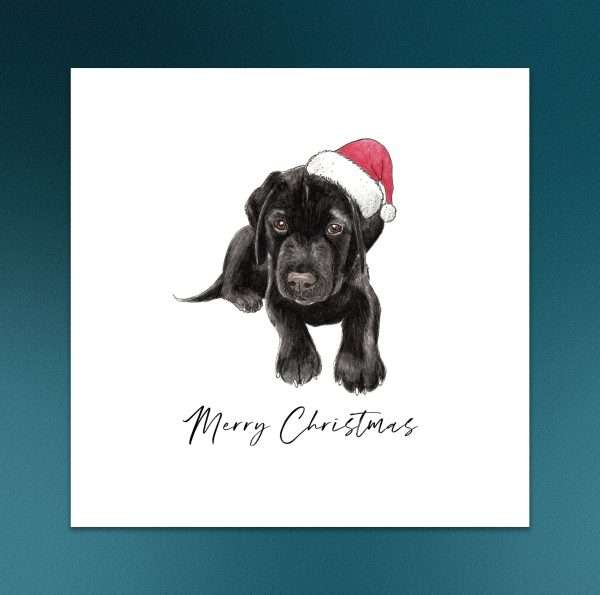 Black Labrador Christmas Card - Puppy in a santa hat