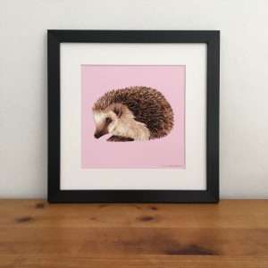 Hedgehog illustration on a pink background giclee art print.