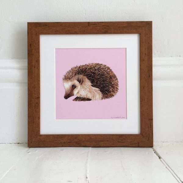 Hog DW Frame SQ scaled 10" x 10" art print of my original watercolour, fine liner and pencil illustration of a hedgehog on a colourful​ pink background.