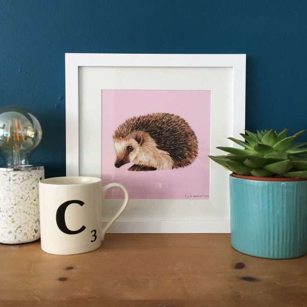 Hog Framed Scene 10" x 10" art print of my original watercolour, fine liner and pencil illustration of a hedgehog on a colourful​ pink background.