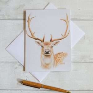 blank oblong greetings card with white envelope of fallow deer stag or bucks head with antlers
