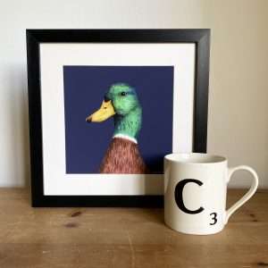 Mallard illustration framed art print