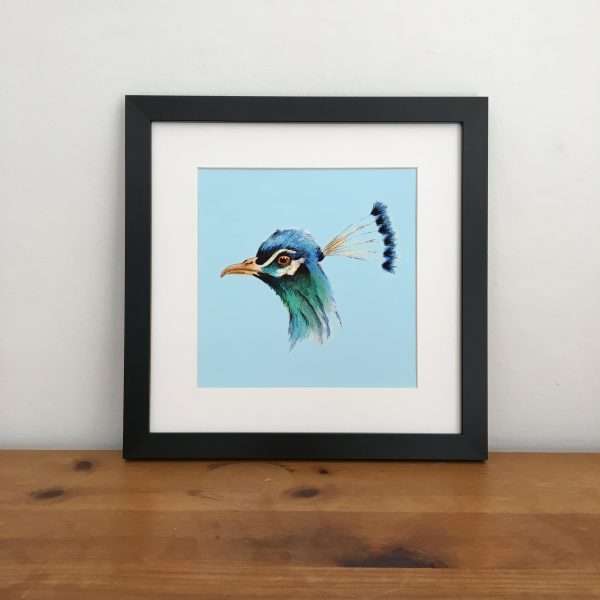 Peacock illustration art print in a black frame