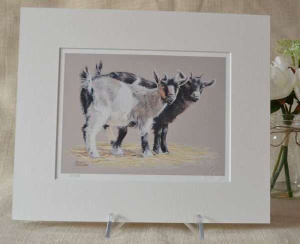 Two Pygmy Goat kids on plain warm grey background art print. In an off white mount.