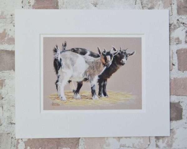 Pair of pygmy goat kids on a warm grey background art print in a pale mount.