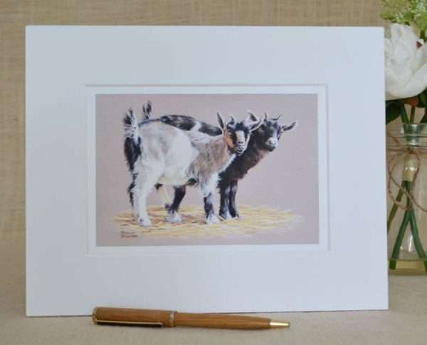 Two pygmy goat kids art print in a 10 by 8 inch pale mount