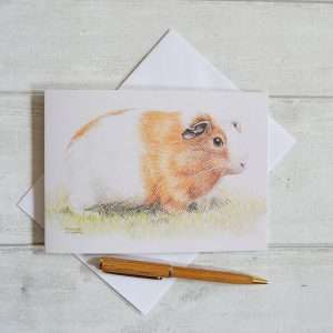 Guinea pig art birthday card. Brown and white piggy from side original drawn in coloured pencil.