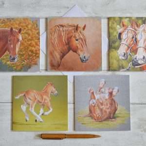 Suffolk Punch Horse art greetings card pack. Five blank art cards from my artwork. Suffolk horse heads, foal and rolling.