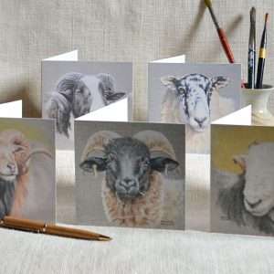 Sheep art cards. Pack of five head studies. One of each Jacob's, North England Mule, North Ronaldsay, Norfolk Horn and Herdwick. Square.