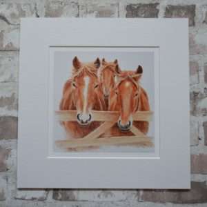Suffolk Punch horses art print. Three heads looking over a gate, in a pale mount