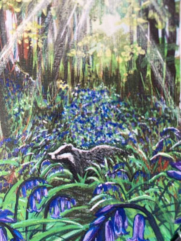 Card - Badger Glade - Image 2