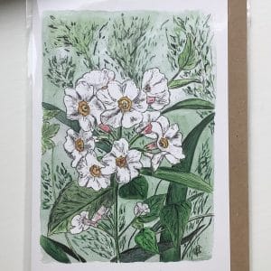 'Flowers at Howick' Greeting Card