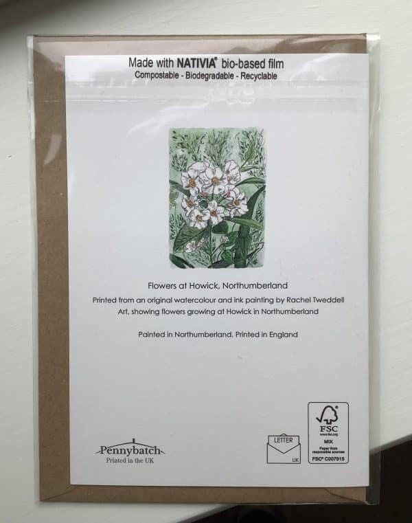 'Flowers at Howick' Greeting Card - Image 2
