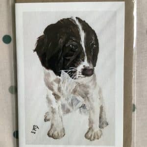 'Springer' Greeting Card