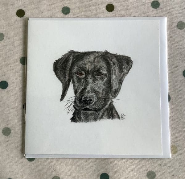 'Black Lab' Greeting Card